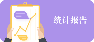 统计报告